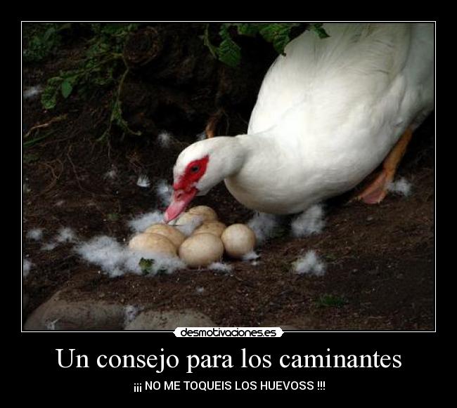 Un consejo para los caminantes -