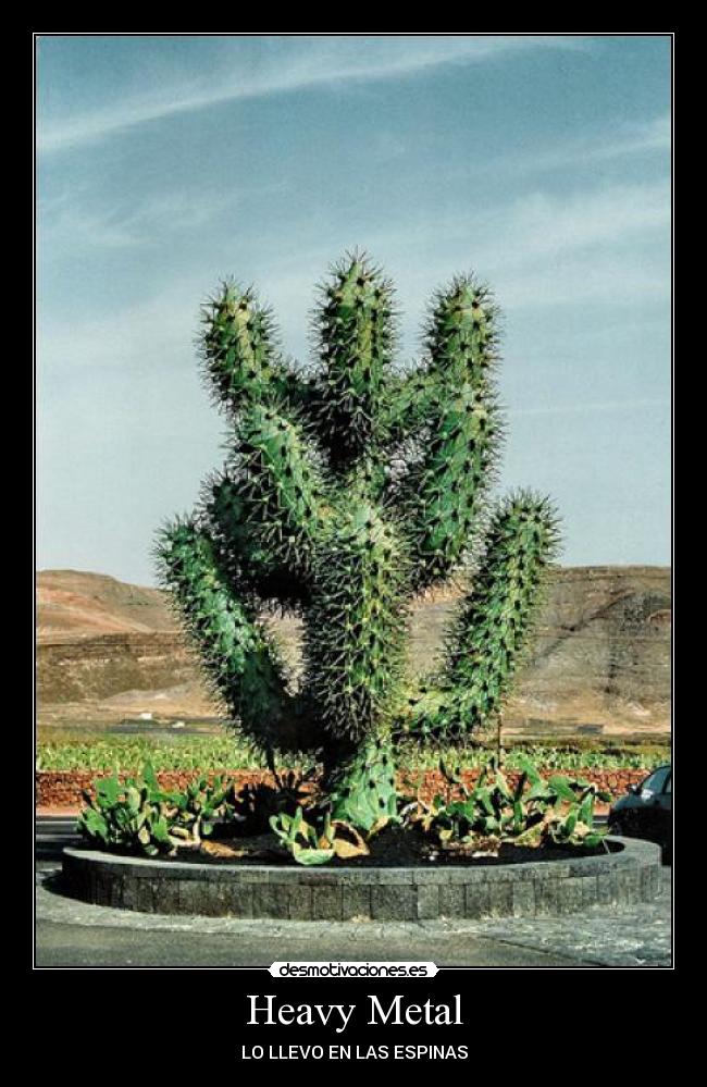 Heavy Metal - 