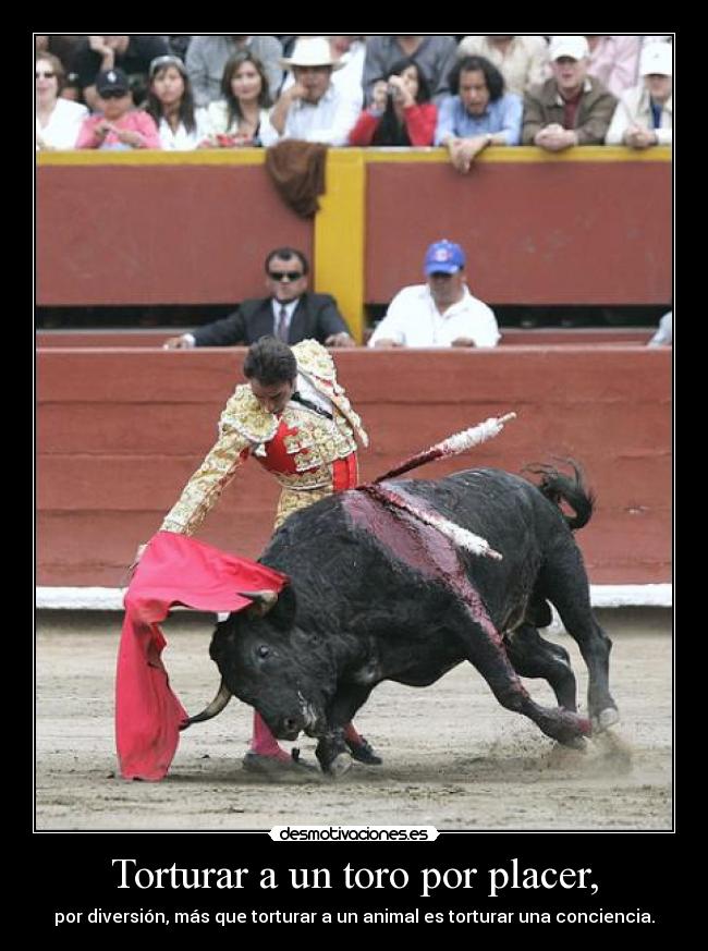 Torturar a un toro por placer, -