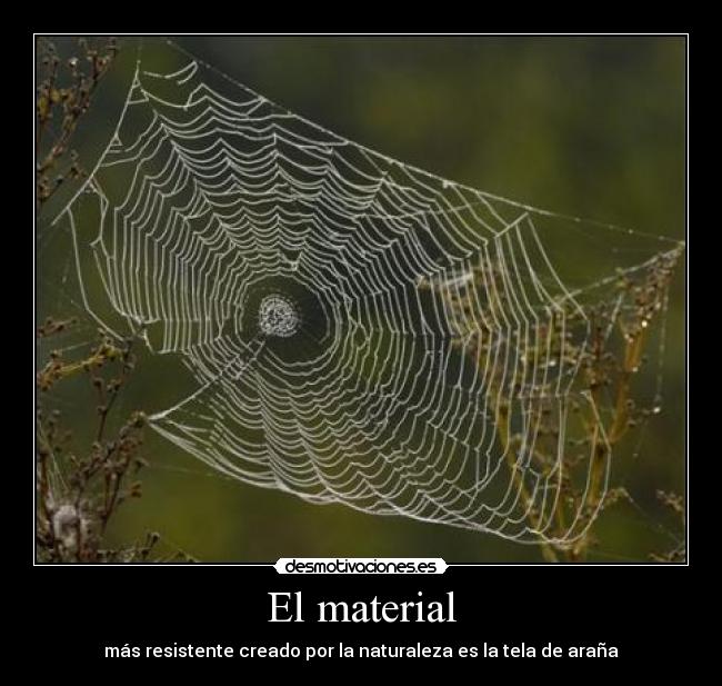 El material - más resistente creado por la naturaleza es la tela de araña