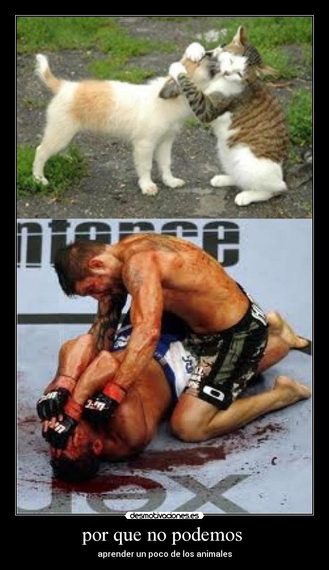 por que no podemos  - 