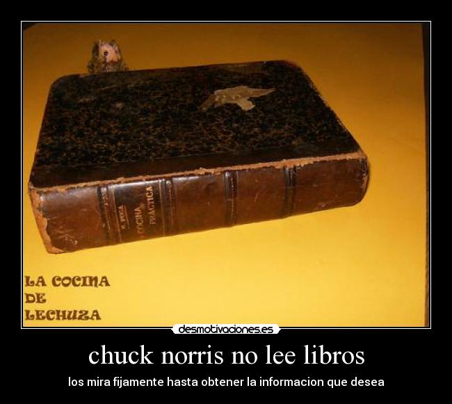 chuck norris no lee libros - los mira fijamente hasta obtener la informacion que desea