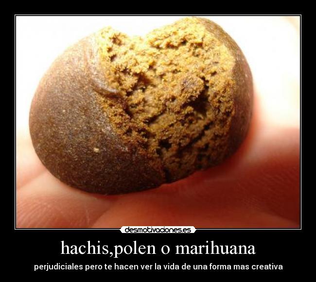 carteles hash desmotivaciones