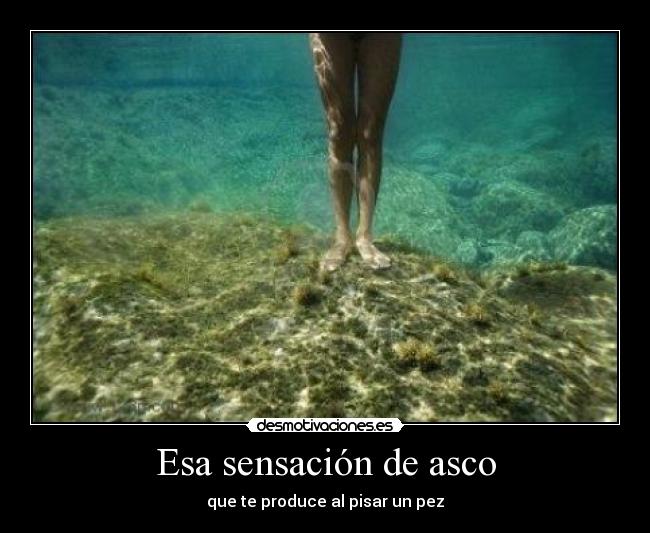 Esa sensación de asco -