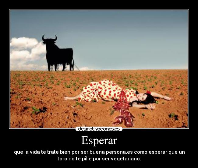 Esperar - que la vida te trate bien por ser buena persona,es como esperar que un
toro no te pille por ser vegetariano.