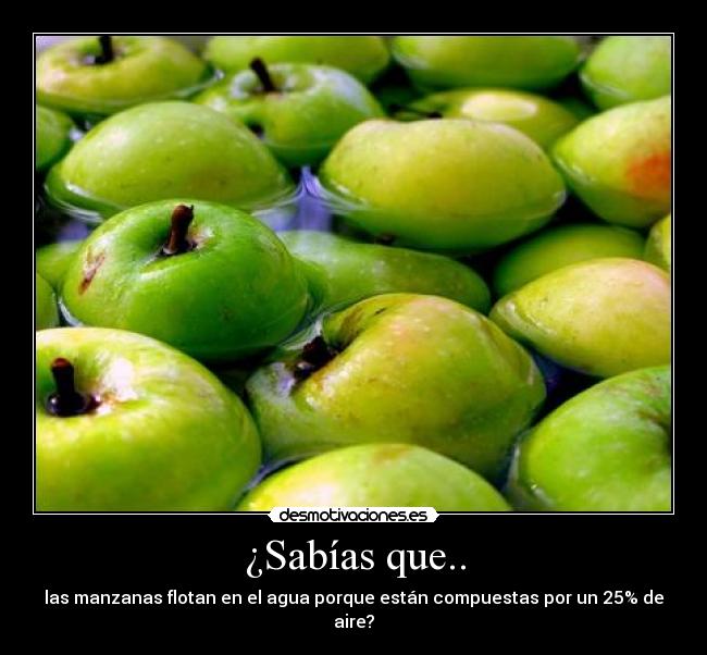 carteles manzanas sabias que desmotivaciones