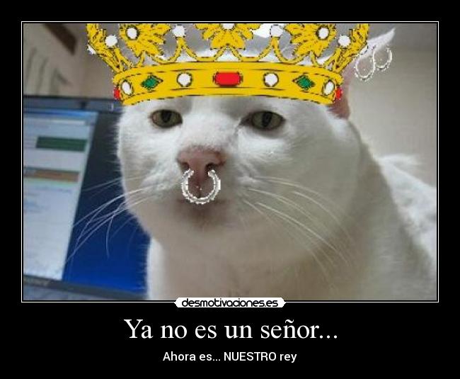 Ya no es un señor... - 