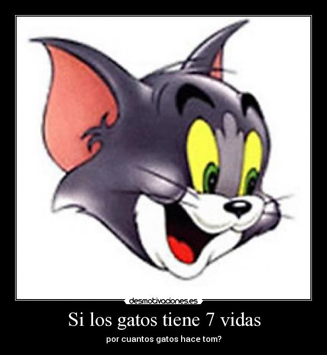 Si los gatos tiene 7 vidas - por cuantos gatos hace tom?