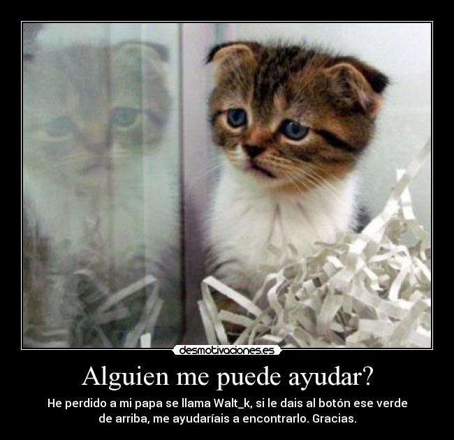 Alguien me puede ayudar? - 