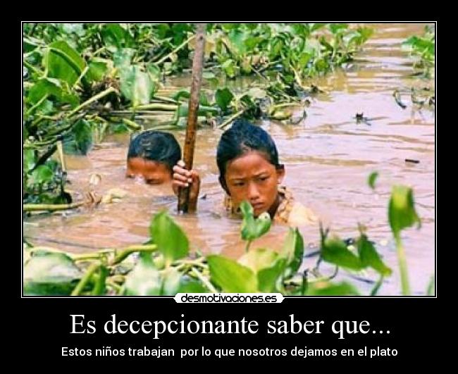 Es decepcionante saber que... - 