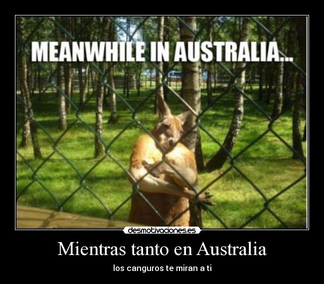 Mientras tanto en Australia -