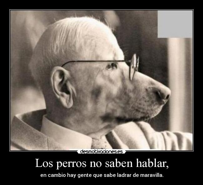 Los perros no saben hablar, -