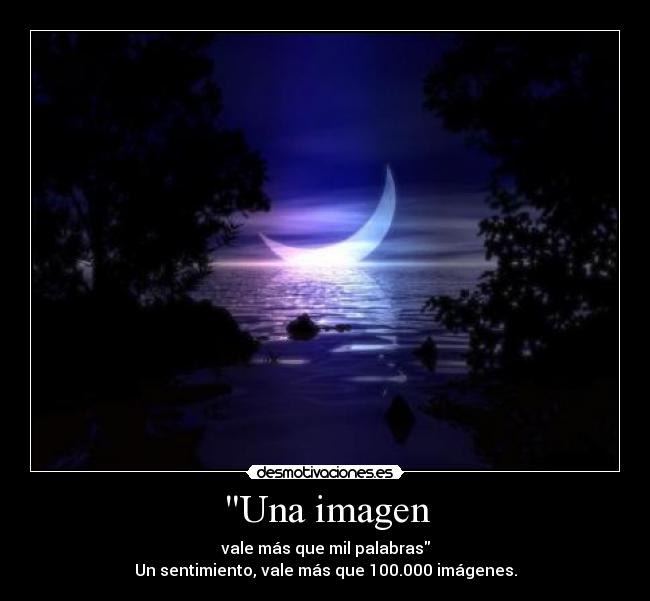 Una imagen - 