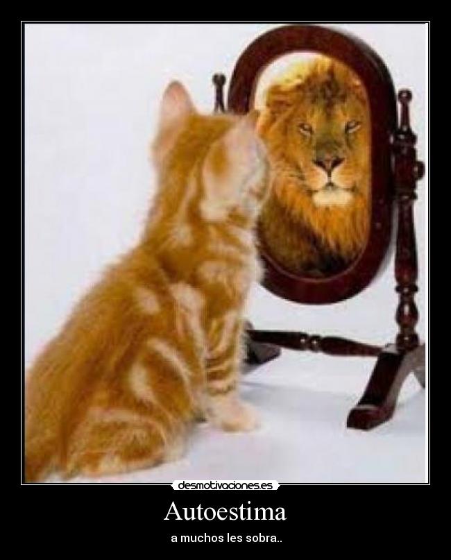 Autoestima - a muchos les sobra..
