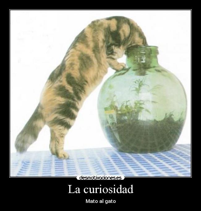 La curiosidad - 