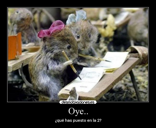 carteles descripcion grafica funny desmotivaciones