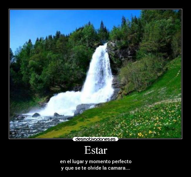 Estar - 