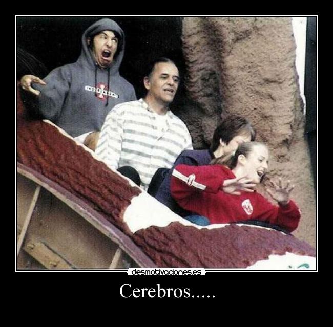 Cerebros..... - 