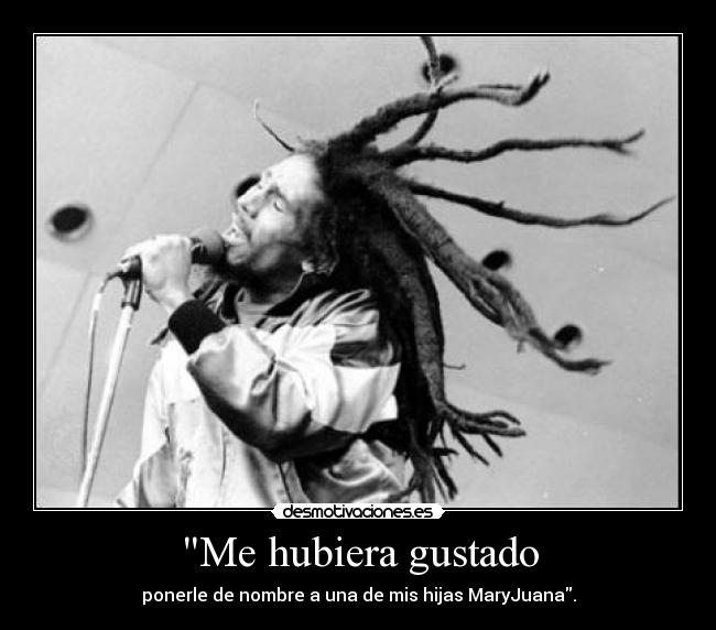 Me hubiera gustado -