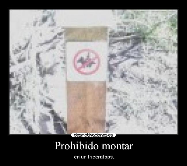carteles prohibido montar desmotivaciones