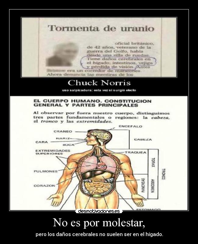 No es por molestar, -