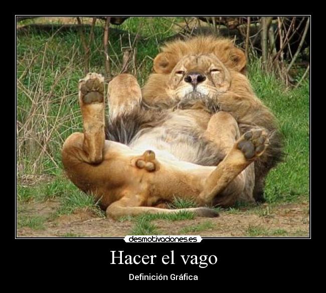 carteles leon vago desmotivaciones