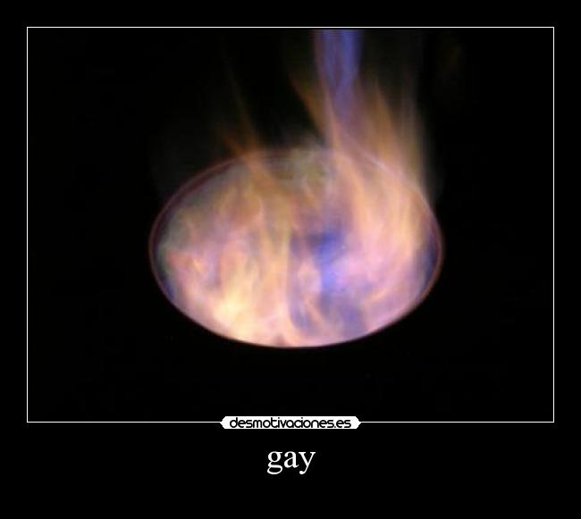 gay - 