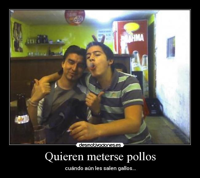 Quieren meterse pollos - 