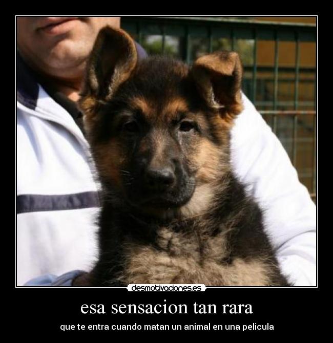 esa sensacion tan rara -