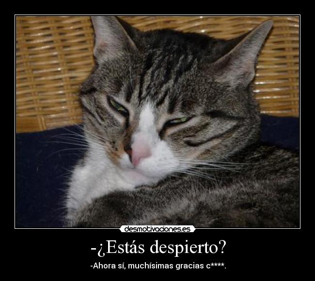 -¿Estás despierto? - 