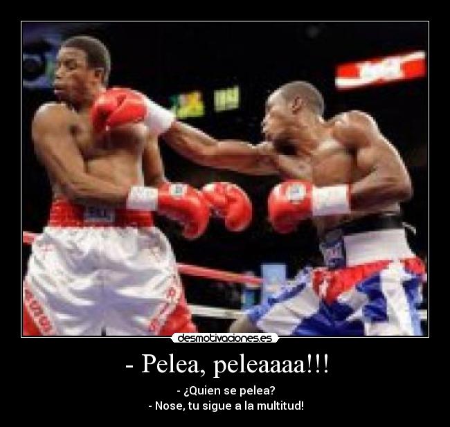 - Pelea, peleaaaa!!! - - ¿Quien se pelea?
- Nose, tu sigue a la multitud!