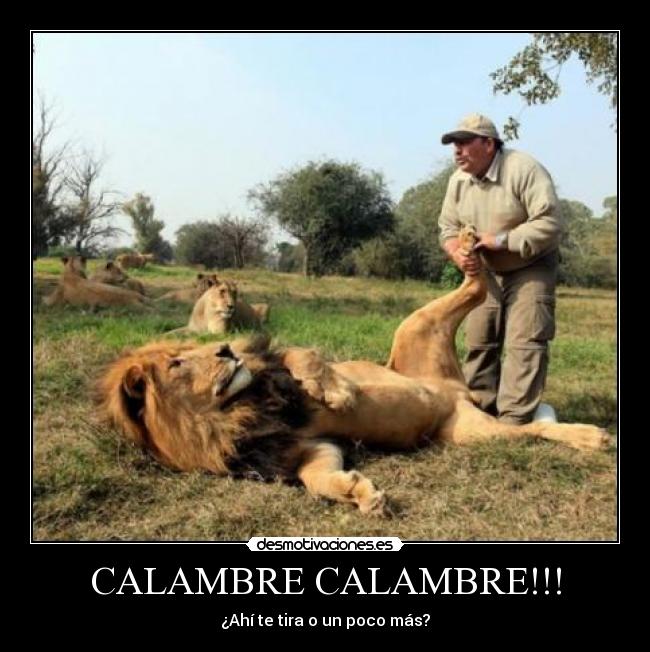 CALAMBRE CALAMBRE!!! - 