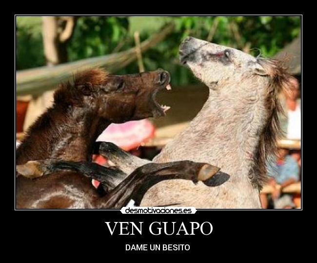 VEN GUAPO -