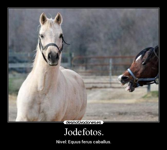 Jodefotos. - 