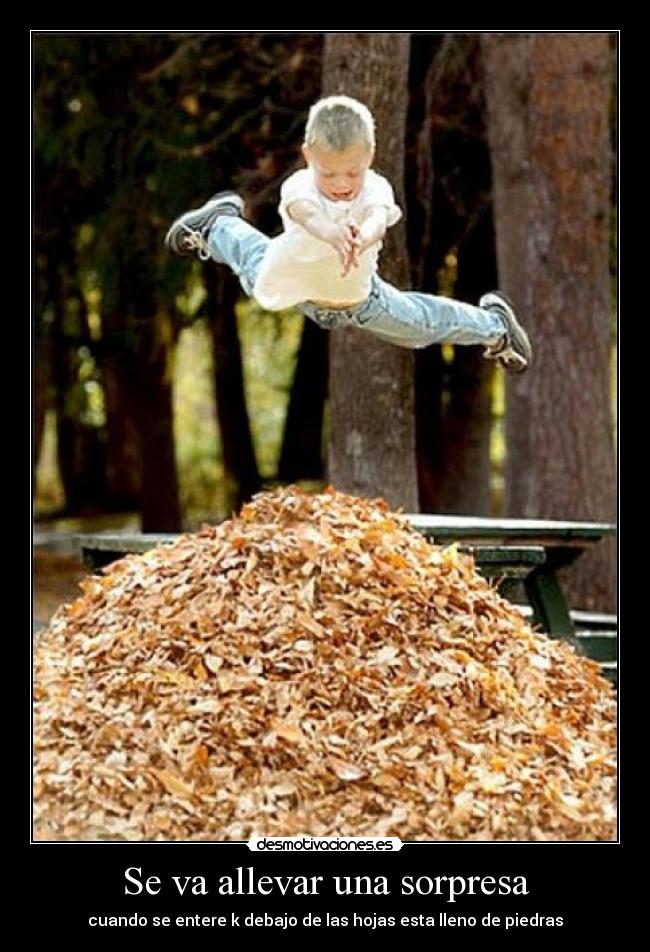 Se va allevar una sorpresa - cuando se entere k debajo de las hojas esta lleno de piedras