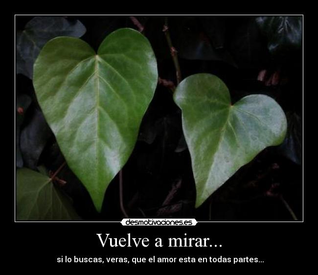 Vuelve a mirar... - 