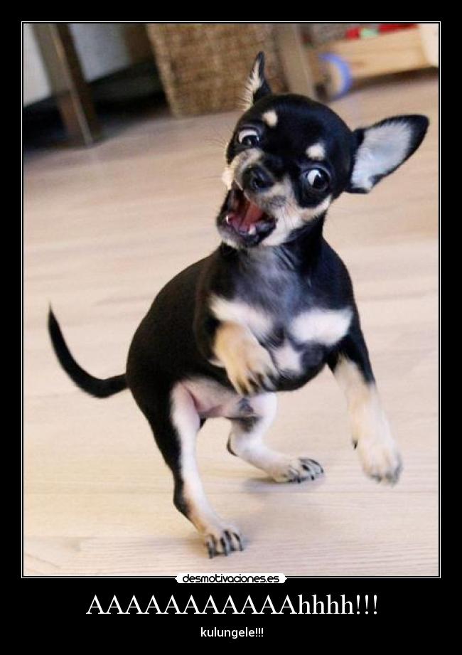 AAAAAAAAAAAhhhh!!! -