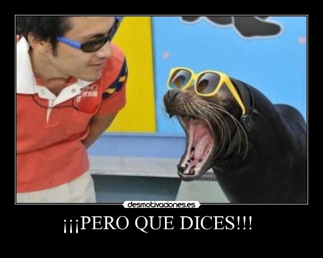 ¡¡¡PERO QUE DICES!!! -
