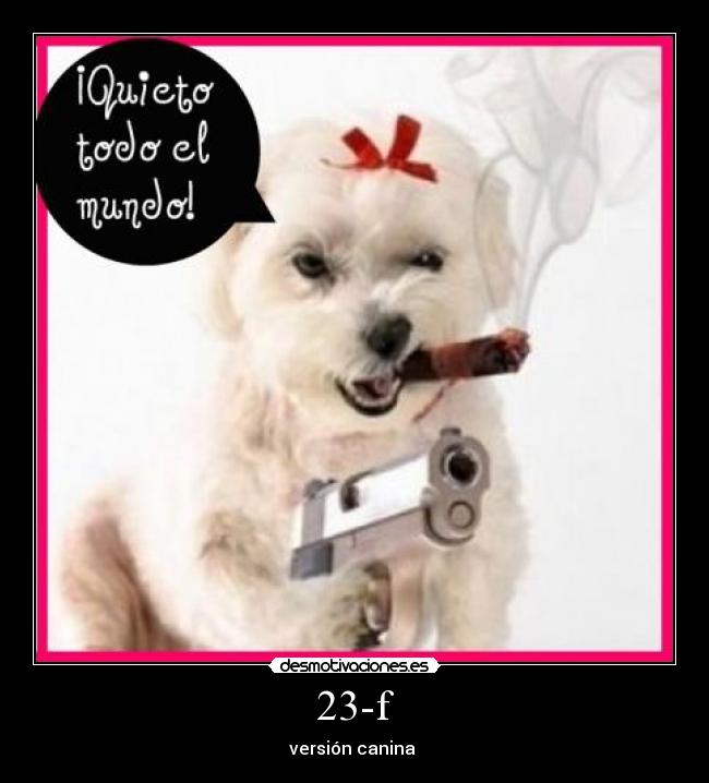 23-f - versión canina