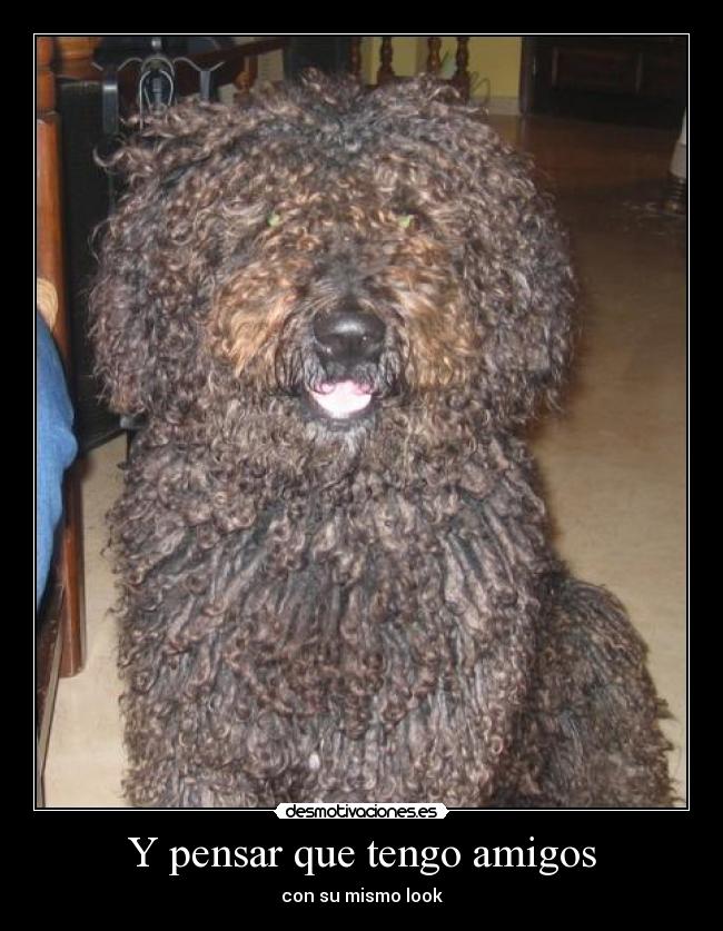 Y pensar que tengo amigos -