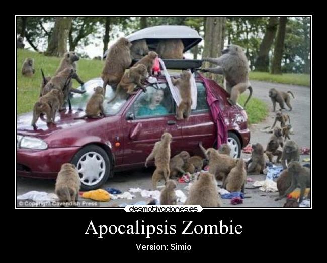 carteles apocalipsis zombie version simio desmotivaciones