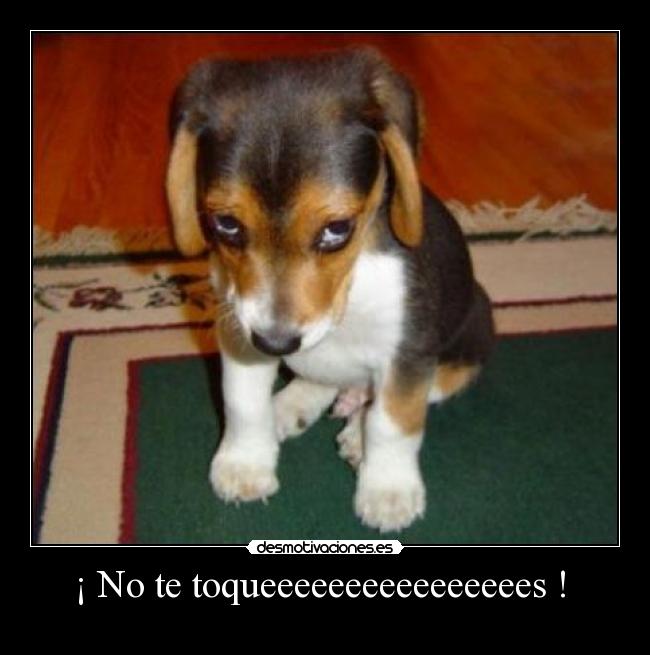 ¡ No te toqueeeeeeeeeeeeeeees ! -
