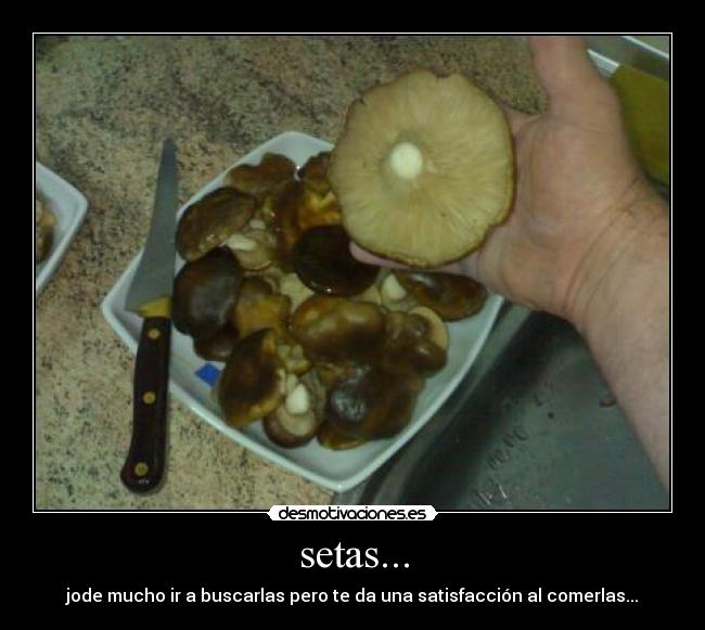 setas... -