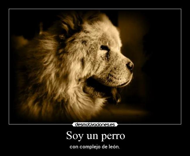 Soy un perro -