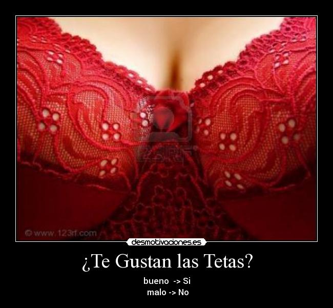 ¿Te Gustan las Tetas? -