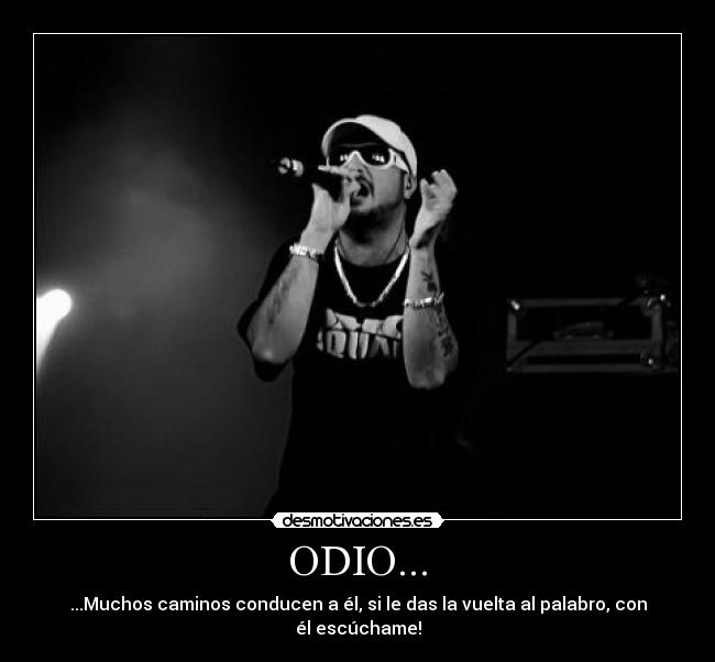 ODIO... - ...Muchos caminos conducen a él, si le das la vuelta al palabro, con él escúchame!