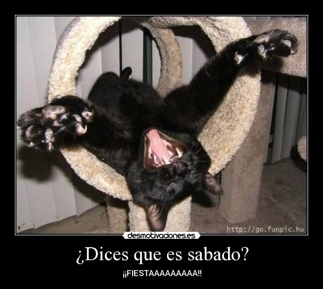 ¿Dices que es sabado? - 