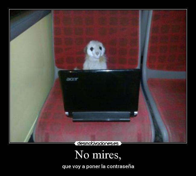 No mires, - que voy a poner la contraseña