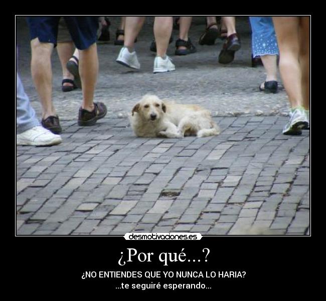 ¿Por qué...? - 
