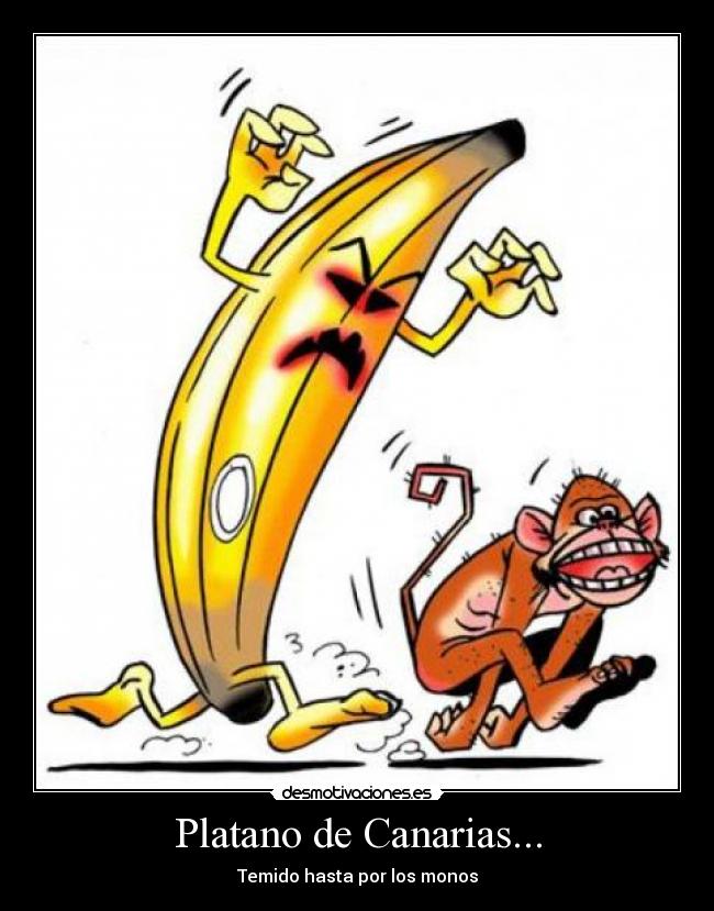 Platano de Canarias... - Temido hasta por los monos